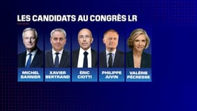 Les candidats au Congrès LR 