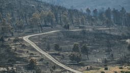 Le paysage calciné après le passage de l'incendie à Coustouge, dans l'Aude, le 8 août 2025