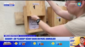 Sanary : un "cluedo" géant dans un parc animalier 