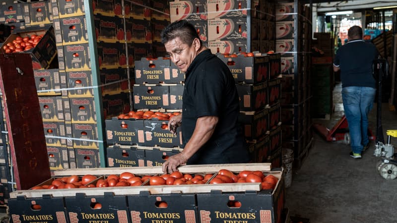 Les Mexicains travaillent 48 heures par semaine, ont un seul jour de repos et 12 jours de congés par an: le pays qui travaille le plus dans l'OCDE va passer à la semaine de 40 heures (ce qui pourrait doper sa très faible productivité)