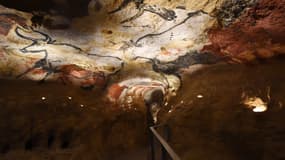 Lascaux-4, reproduction à l'échelle 1 de la célèbre grotte.