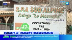 Hautes-Alpes: la SPA Sud-Alpine et des adhérents soupçonnés d’escroquerie, extorsion et vol de chien
