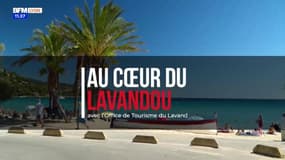 Au Cœur du Lavandou