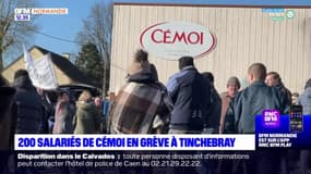 Orne: 200 salariés de Cémoi en grève à Tinchebray