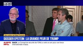 Dossier Epstein : la grande peur de Trump - 17/11