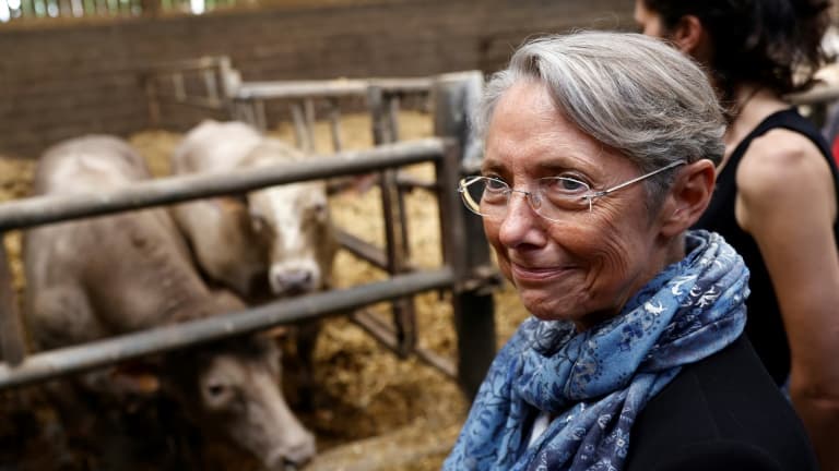 La Première ministre Elisabeth Borne en campagne pour les législatives dans le Calvados le 21 mai 2022