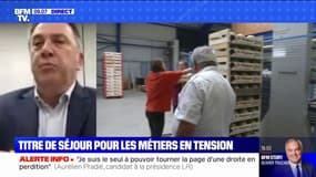 Pour Laurent Munerot, président de la CNAMS, la régularisation des travailleurs sans-papiers "ne sera pas la réponse globale aux difficultés de recrutement des métiers en tension"