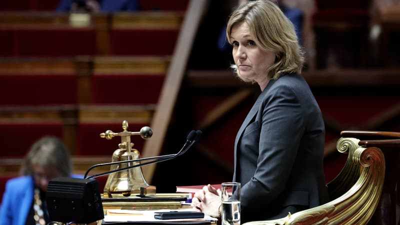 Yaël Braun-Pivet "extrêmement favorable" à une obligation de casier judiciaire vierge pour être élu député