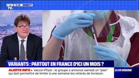 Variants : partout en France d'ici un mois ? - 16/01