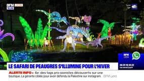 À Peaugres, le Safari s'illumine la nuit pour l'hiver