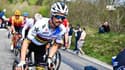 Tour de France : Alaphilippe non retenu, son frère comprend Quickstep-AlphaVinyl