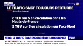 Réforme des retraites: le trafic SNCF toujours perturbé ce jeudi dans le Nord et le Pas-de-Calais