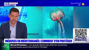 Méditerranée: que faire en cas de piqûre de méduse?
