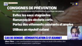 Alpes-Maritimes: une vaste opération de démoustication organisée à Saint-Jeannet après un huitième cas de dengue