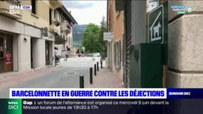 Barcelonnette: la guerre déclarée contre les déjections canines