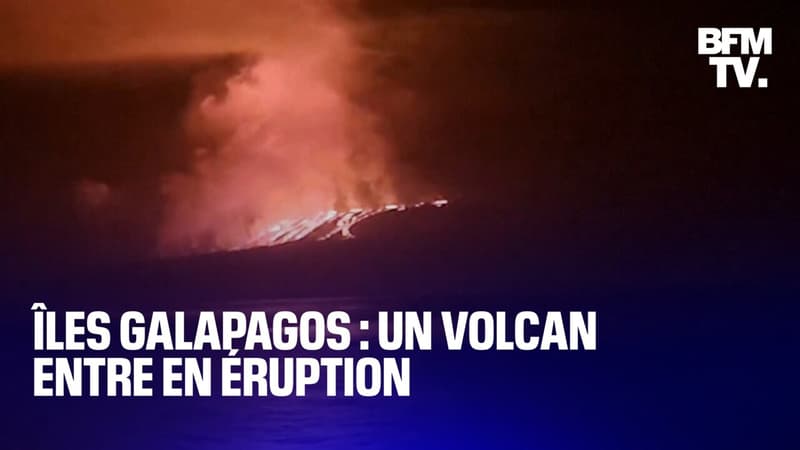 Îles Galapagos: le volcan La Cumbre est entré en éruption