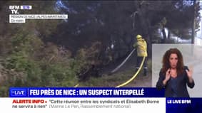 Alpes-Maritimes: firefighters mobilized on a forest fire near Nice, an individual in police custody