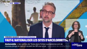 Plan social: faut-il nationaliser les sites d'Arcelormittal ? 