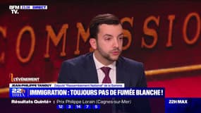 Projet de loi immigration: "On a un alignement sur les conditions posées par le Rassemblement national", pour Jean-Philippe Tanguy (RN)