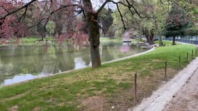 Le lac des Buttes-Chaumont ce jeudi 11 avril.