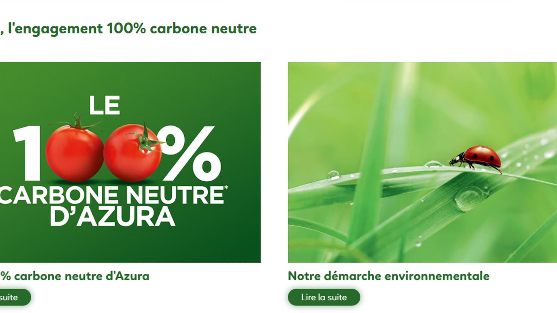 Des tomates du Maroc 100% neutres en carbone? C'est la promesse de la marque Azura.