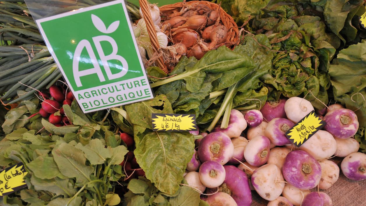 7 Français sur 10 déclarent consommer régulièrement des produits (légumes, laitages, ...) issus de l'agriculture biologique. (image d'illustration) 