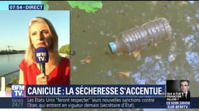 Canicule: "Il faudra du temps pour que certains cours d'eau sortent de la situation de crise"