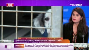 Thouy du Parti Animaliste : "Ca va dans le bon sens mais ce n'est pas suffisant"