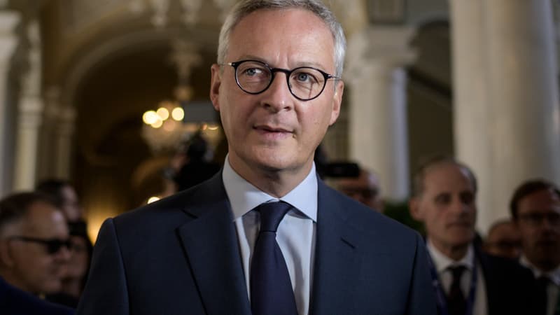 Bruno Le Maire, le Ministre de l'Economie.