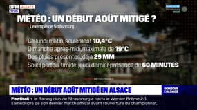 Alsace: une météo maussade pour le début du mois d'août 