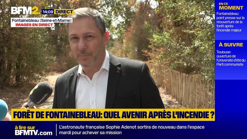 Forêt de Fontainebleau: après l'incendie, réouverture progressive des lieux au public