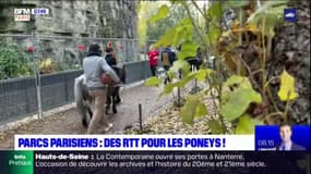 Parcs parisiens: des RTT pour les poneys