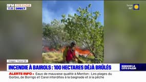 Bairols: l'incendie toujours en cours, 100 hectares déjà parcourus