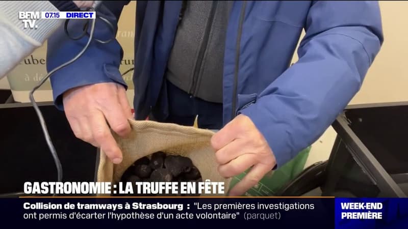 La fête annuelle de la truffe noire a lieu ce week-end dans l'Hérault