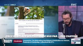 L'actu des réseaux sociaux: sur l'appli de rencontre Once on remplace les dickpics par des chatons