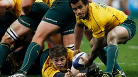 Will Genia récupère le capitanat