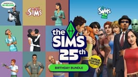 Les Sims ont 25 ans: retour sur une saga qui a révolutionné le jeu vidéo