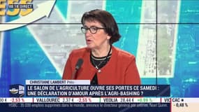 "Nous demandons la sécurité pour les agriculteurs" affirme Christiane Lambert, présidente de la FNSEA