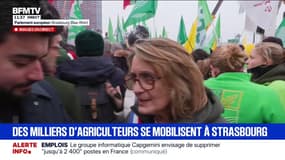 Mercosur: "Il faut se battre jusqu'au dernier parlementaire", affirme Sophie Primas, sénatrice LR