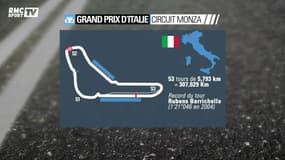 Roy : "Le record de pole position d’Hamilton est absolument remarquable"