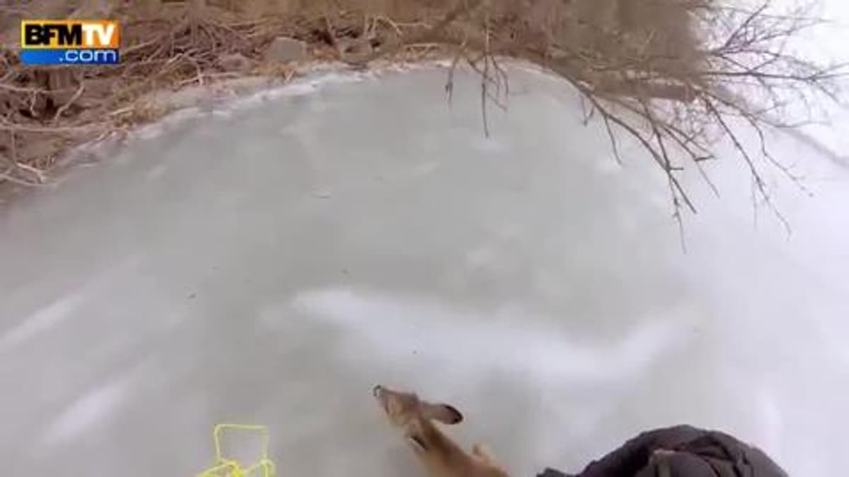 placeholder video
