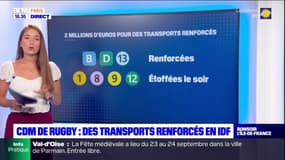 Coupe du monde de rugby: les transports renforcés en Île-de-France