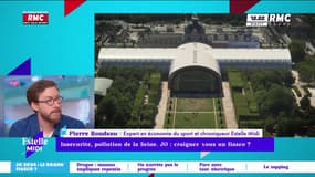 Insécurité, transports, pollution de la Seine : les JO peuvent-ils être un fiasco ?