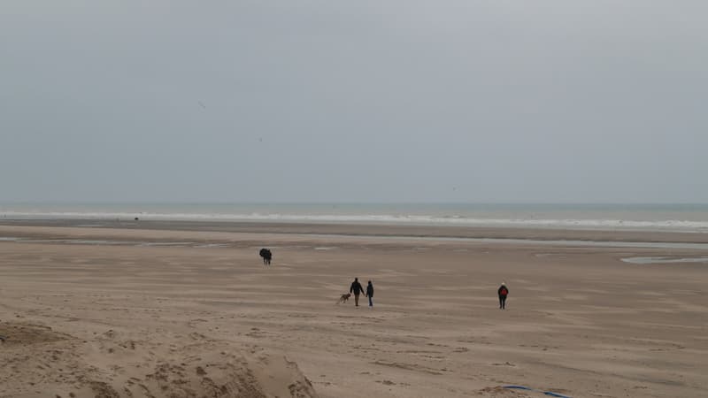 Sept personnes ont été secourues au large de Stella Plage
