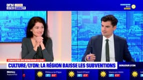 Lyon: Nathalie Perrin-Gilbert fustige les coupes budgétaires de la région pour la culture