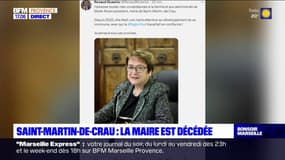 Bouches-du-Rhône: la maire de Saint-Martin-de-Crau, Marie-Rose Lexcellent, est morte