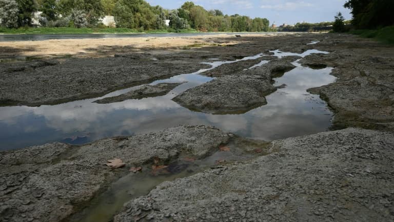 Le lit de la Garonne frappé par la sécheresse, le 25 août 2022 à Toulouse (photo d'illustration)