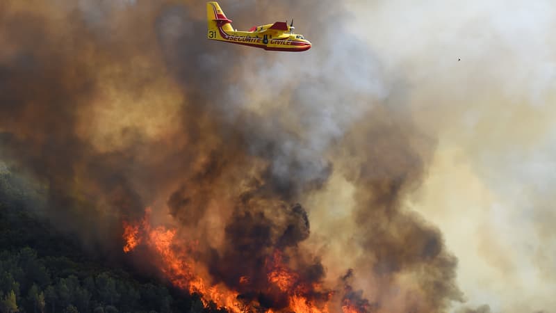 Incendie dans l'Hérault: le feu 