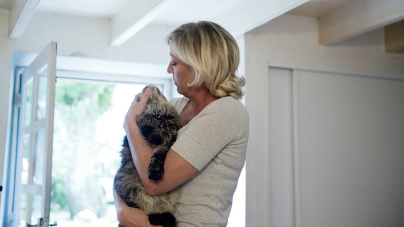 A grand renfort de photos avec ses chats, Marine Le Pen drague les amis des animaux en vue de 2017.