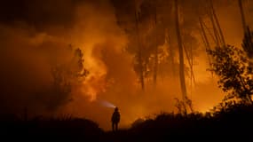 Un membre de l'unité d'urgence militaire espagnole sur un incendie près du village de Pepín dans la région d'Orense en Espagne, le mardi 19 août 2025.